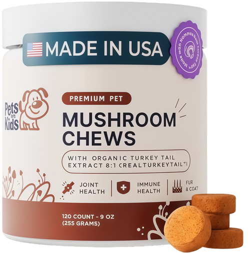 Mushroom Chews